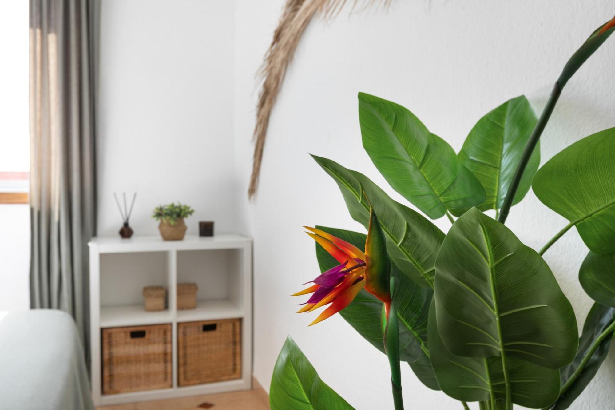 Casa Camacho Appartement
